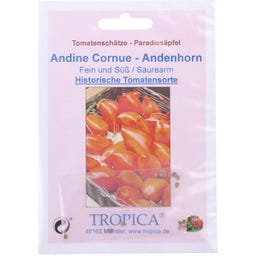 TROPICA Tomato ‘Andine Cornue-Andenhorn’