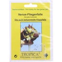 TROPICA Venus Atrapamoscas