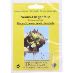 TROPICA Venus Atrapamoscas