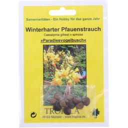 TROPICA Winterharter Pfauenstrauch