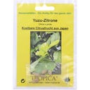 TROPICA Yuzu