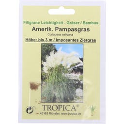 TROPICA Herbe de la Pampa Américaine