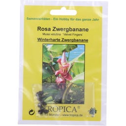 TROPICA Rosa Zwergbanane 