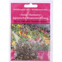 Mezcla de Flores Silvestres - Armonía Asiática