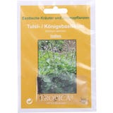 TROPICA Bazylia Tulsi