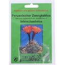 TROPICA Peruviaanse Dwergcactus
