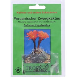 TROPICA Peruviaanse Dwergcactus