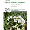 Saflax Kaukasus Gänsekresse - 200 Korn