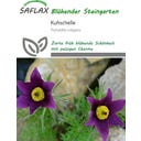 Saflax Kuhschelle - 30 Korn