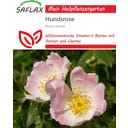Saflax Hundsrose - 50 Korn