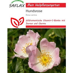 Saflax Hundsrose - 50 Korn