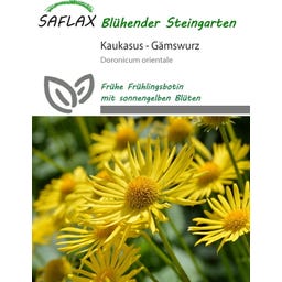 Saflax Kaukasus Gämswurz - 50 Korn