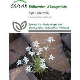 Saflax Alpen Edelweiß - 500 Korn