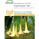 Saflax Engelstrompete gelb - 10 Korn