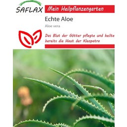 Saflax Echte Aloe - 10 Korn