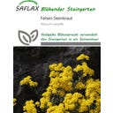 Saflax Felsen-Steinkraut - 200 Korn