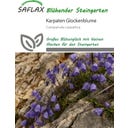 Saflax Karpaten Glockenblume - 1.000 Korn
