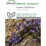 Saflax Campanilla de los C&aacute;rpatos