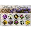 Saflax Bloeiende Rotstuin Zadenset - 1 Set