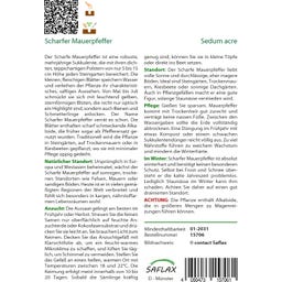 Saflax Scharfer Mauerpfeffer - 1.000 Korn