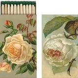 Sk&ouml;na Ting Streichh&ouml;lzer '"Rose"