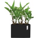 elho Växtkruka June Brick Divider 80 cm - svart