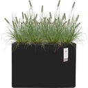 elho Växtkruka June Brick Divider 80 cm - svart