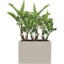 elho june brick divider - 80 cm - Beige
