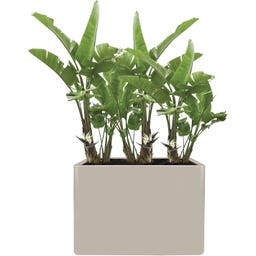 elho june brick divider - 80 cm - Beige