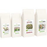 Keimgr&uuml;n Bio Sprossenmix