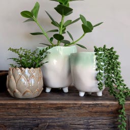 Chic Antique Blumentopf  auf Fuss 
