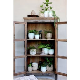 Chic Antique Blumentopf  auf Fuss 