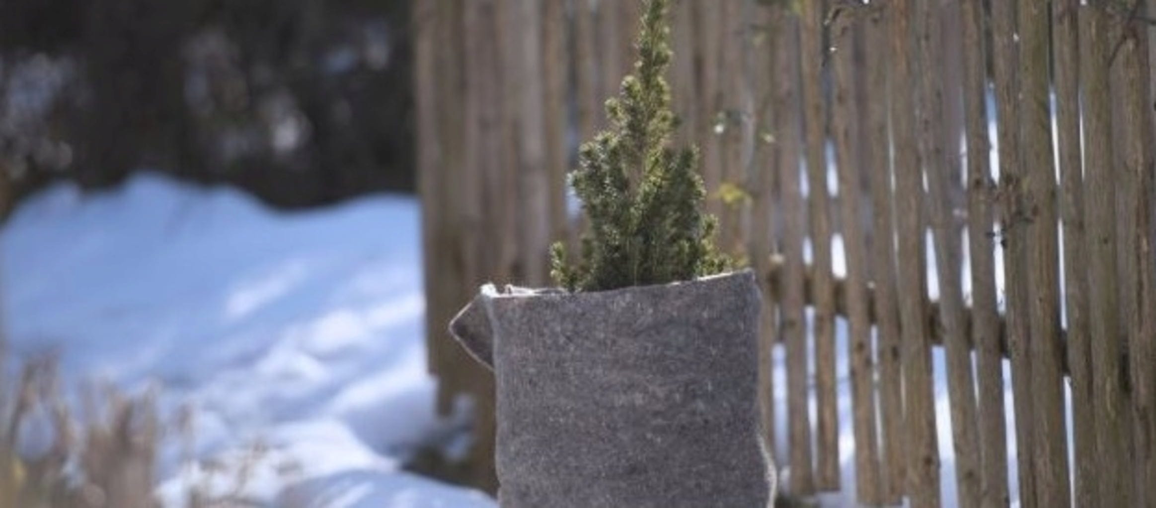 Winterizing Garden Plants & Potted Plants - Gardening Guide - Bloomling ...