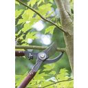 Burgon & Ball Coupe-Branches - Édition National Trust - 1 pcs