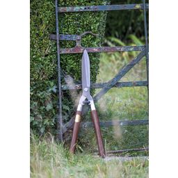 Nožnice na živý plot - National Trust Edition - 1 ks