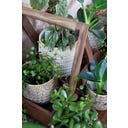 Chic Antique Blumentopf 