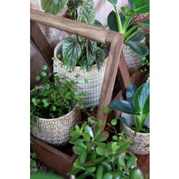 Chic Antique Blumentopf 