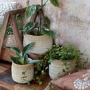 Chic Antique Blumentopf 