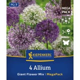 Kiepenkerl Mega Pack: Large-flowered Allium Mix