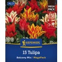 Mega-Pack Botanischer Tulpen Balkonzauber Mix - 15 Stück