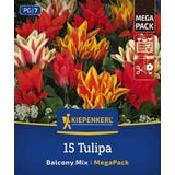 Mega Pack - "Balkonzauber" Botanical Tulip Mix