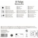 Mega-Pack Botanischer Tulpen Balkonzauber Mix