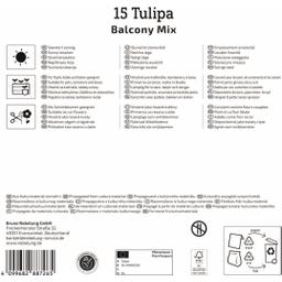 Mega-Pack Botanischer Tulpen Balkonzauber Mix