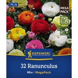 Kiepenkerl Mega Pack Ranunculus Mix
