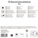 Kiepenkerl Mega-Pack Ranunkelmischung