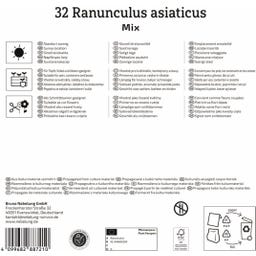 Kiepenkerl Mega-Pack Ranunkelmischung