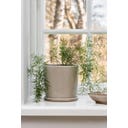 Ib Laursen Topf mit Untersetzer beige