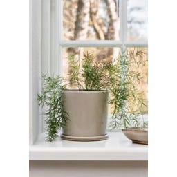 Ib Laursen Topf mit Untersetzer beige