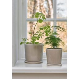 Ib Laursen Topf mit Untersetzer beige