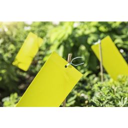 Windhager Trampa adhesiva para insectos - 1 set